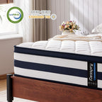 Mattress Memory Foam Srpung 12 Inch Hybrid Mattresses