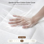 Mattress Pocket Sprung Memory Foam Hybrid Bed