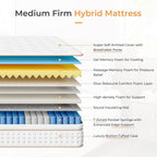 Mattress with Memory Foam Top