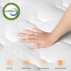 Mattress with Memory Foam Top
