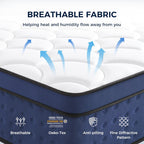 Mattresses 30CM Individually Pocket Spring with Breathable