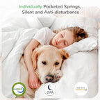 Mattresses 8 Inch Pocket Sprung with Breathable Certipur-Us