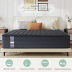 Memory Foam Hybrid Mattress Pocket Sprung Medium