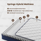 Memory Foam Spring Mattress