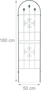 Metal 180 X 50CM Garden Climbing Aid (Set of 2)