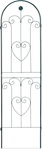 Metal 180 X 50CM Garden Climbing Aid (Set of 2)