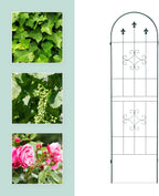 Metal 180 X 50CM Garden Climbing Aid (Set of 2)
