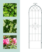 Metal 180 X 50CM Garden Climbing Aid (Set of 2)