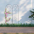 Metal 180 X 50CM Garden Climbing Aid (Set of 2)
