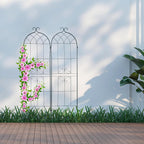 Metal 180 X 50CM Garden Climbing Aid (Set of 2)