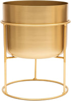 Gold XL