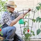 Metal Plant Trellis (4 Pack)