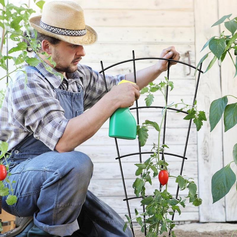 Metal Plant Trellis (4 Pack)