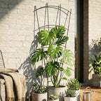 Metal Plant Trellis (4 Pack)