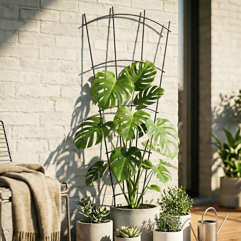 Metal Plant Trellis (4 Pack)