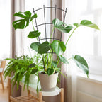 Metal Plant Trellis for Pots Garden Beds (4 Pack)