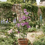 Metal Plant Trellis for Pots Garden Beds (4 Pack)
