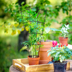 Metal Plant Trellis for Pots Garden Beds (4 Pack)