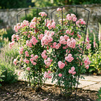 Metal Plant Trellis for Pots Garden Beds (4 Pack)