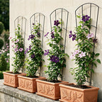 Metal Plant Trellis for Pots Garden Beds (4 Pack)