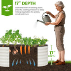 Metal Raised Garden Bed Kit 240x60x30CM (2Pack)