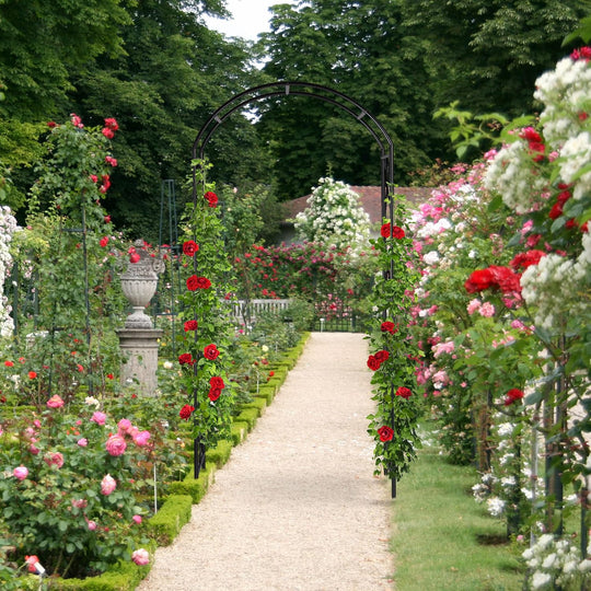 Metal Rose Arch Garden Arbour