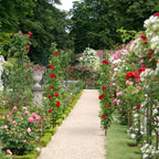Metal Rose Arch Garden Arbour