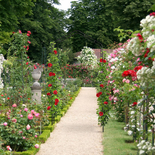 Metal Rose Arch Garden Arbour