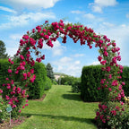 Metal Rose Arch Trellis Steel Frame Garden Flower