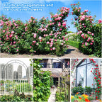 Metal Rose Arch Trellis Steel Frame Garden Flower