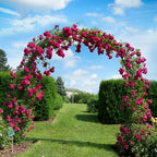 Metal Rose Arch Trellis Steel Frame Garden Flower