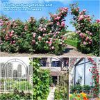 Metal Rose Arch Trellis Steel Frame Garden Flower