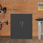 Metal Storage Cabinet with Locking Doors and 2