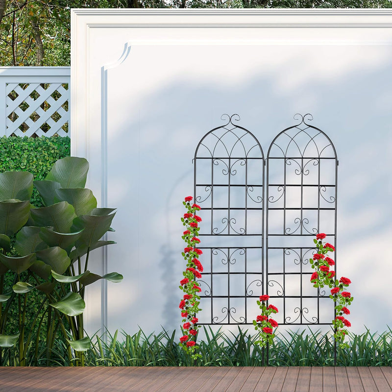 Metal Trellis Climbing Plant Support Free-Standing Vintage Style (Set of 2)
