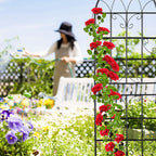 Metal Trellis Climbing Plant Support Free-Standing Vintage Style (Set of 2)