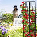 Metal Trellis Push in Support for Climbing Plants (Set of 6)