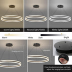 Round Pendant Light Brightness Adjustable 10%-100% 3000K (3Pack)