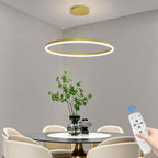 Round Pendant Light Brightness Adjustable 10%-100% 3000K (3Pack)