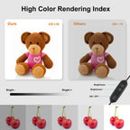 Mini Light Box Photography Portable Folding Photo