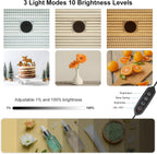 Mini Light Box Photography Portable Folding Photo