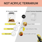 Mini Reptile Tank PC 8" X 8"x 7"