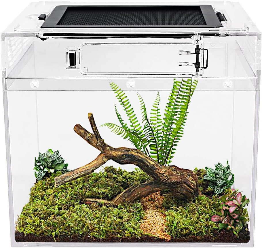 Mini Reptile Tank PC 8" X 8"x 7"