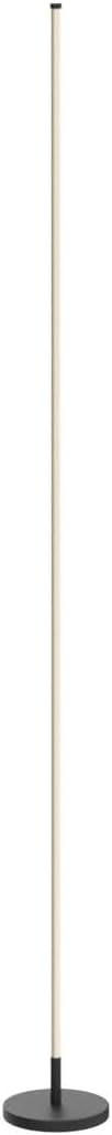 Minimalist Corner Floor Lamp 2700K-6500K Dimmable LED Night