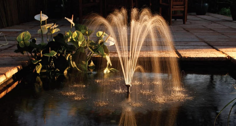 Minipond Pump in Pond with the Maximum Volume