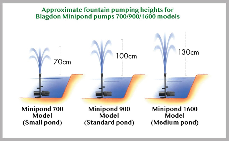 Minipond Pump in Pond with the Maximum Volume