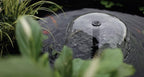 Minipond Pump in Pond with the Maximum Volume