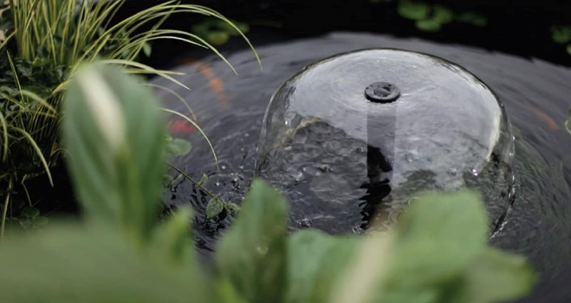 Minipond Pump in Pond with the Maximum Volume