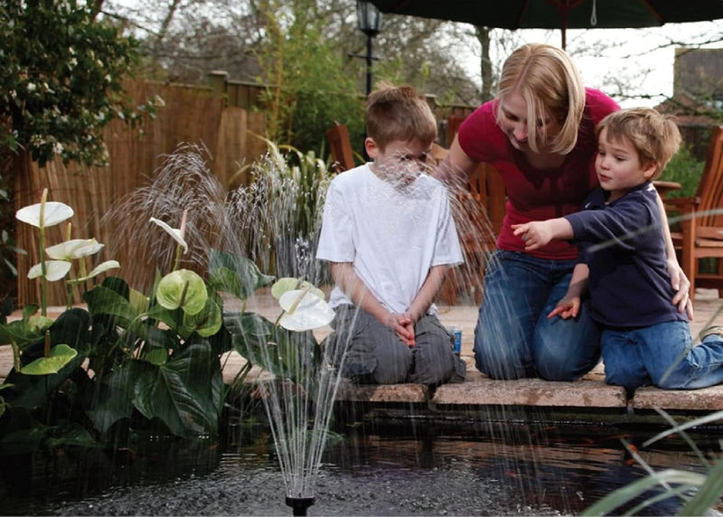 Minipond Pump in Pond with the Maximum Volume
