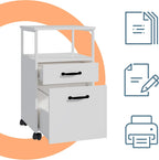 Mobile Filing Cabinet 2 Drawers Hanging File System