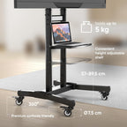 Mobile TV Stand 50-100 Inch 120KG